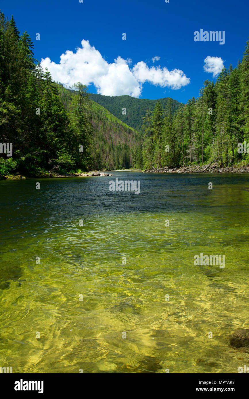 Selway River from Selway River Trail, Selway Wild and Scenic River, SelwayBitterroot Wilderness