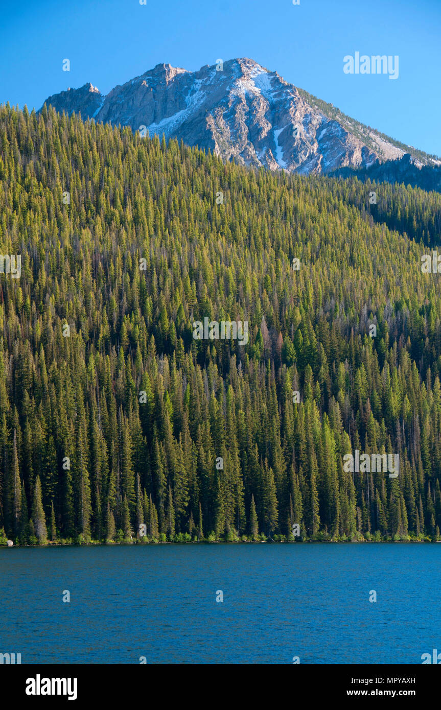 Alpine Lake and Alpine Peak, Sawtooth National Forest, wilderness area,  Sawtooth National Recreation area, near Stanley, Idaho Stock Photo - Alamy
