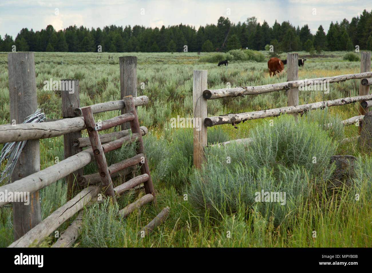Pole fence, Harriman State Park, Idaho Stock Photo