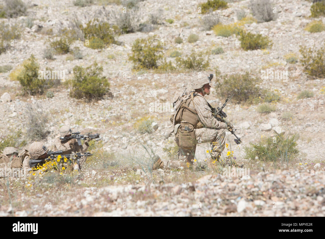 Echo Company, 2nd Battalion, 6th Marine Regiment is an infantry unit of ...