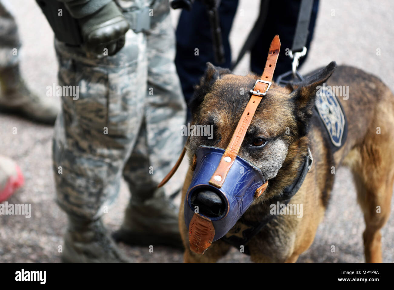 Members of Buckley Air Force Base’s Emergency Services Team train with