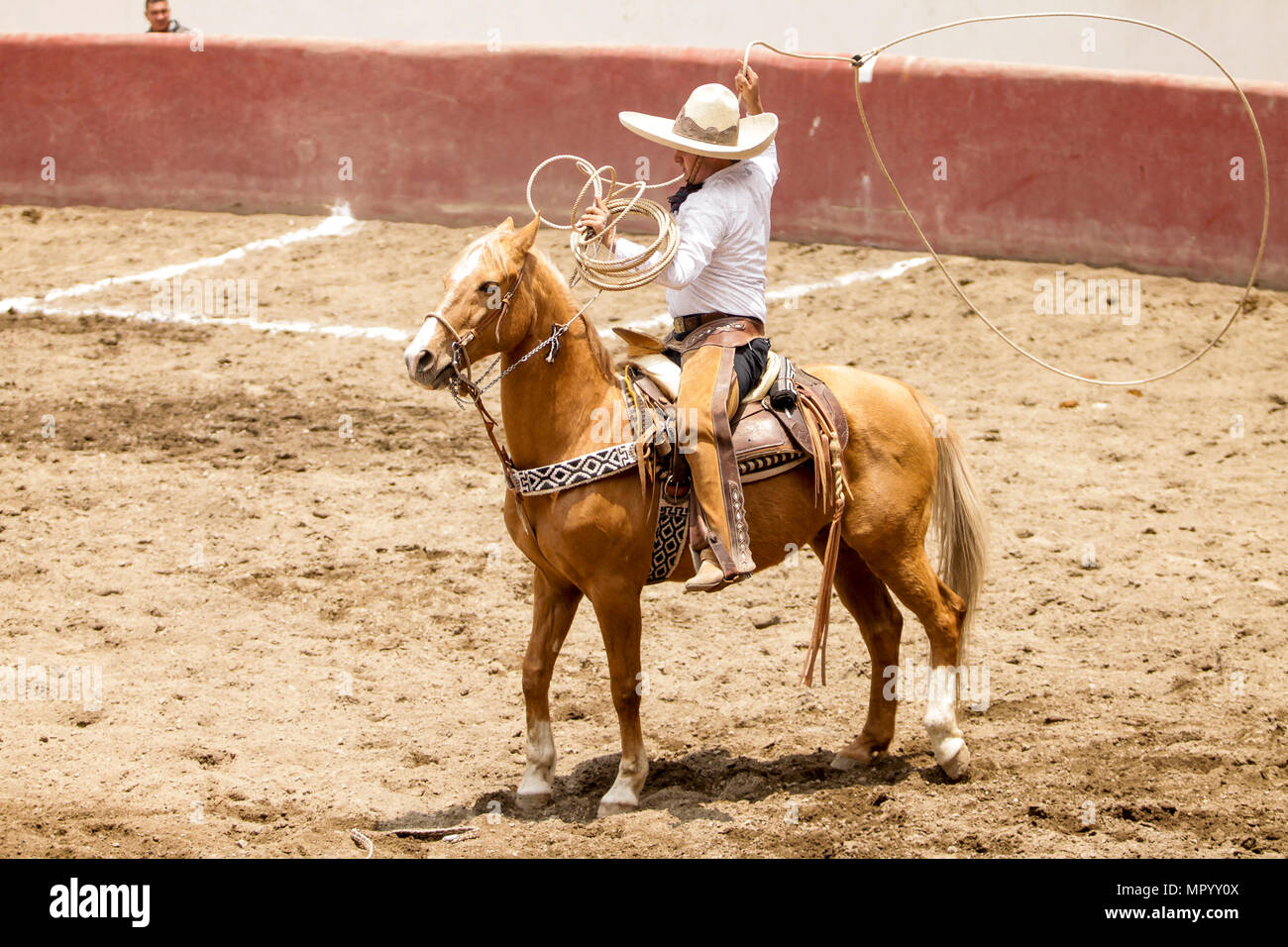 Animal used for riding hi-res stock photography and images - Alamy Animal used for riding hi-res stock photography and images - Alamy