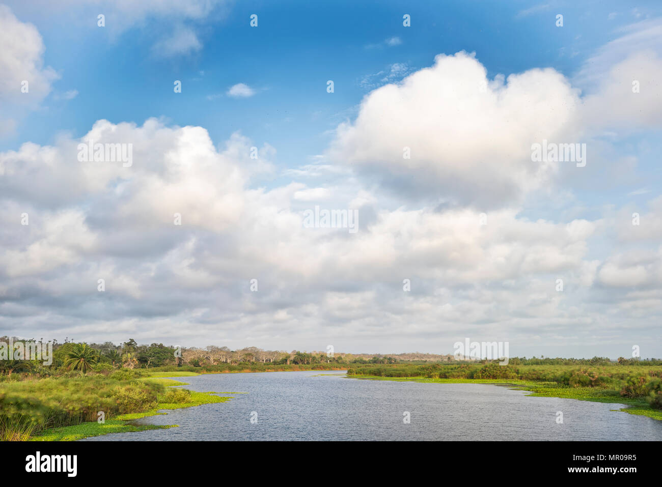 View of the kwanza river. Angola, Africa. Stock Photo