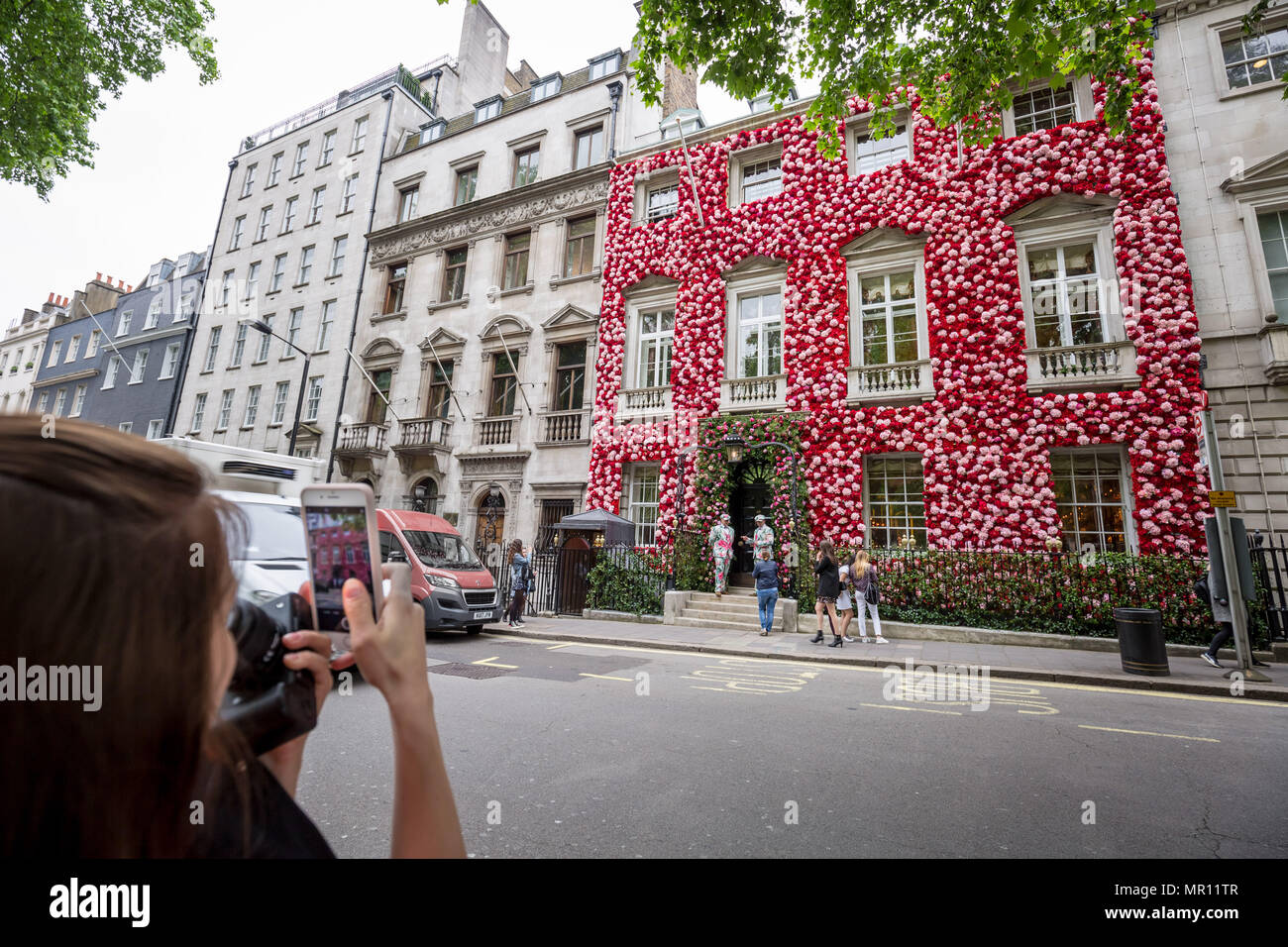 London, UK. 25th May 2018. Annabel's private members club in Mayfair currently adorned with thousands of flowers timed to coincide with the RHS Chelsea Flower Show. Credit: Guy Corbishley/Alamy Live News Stock Photo