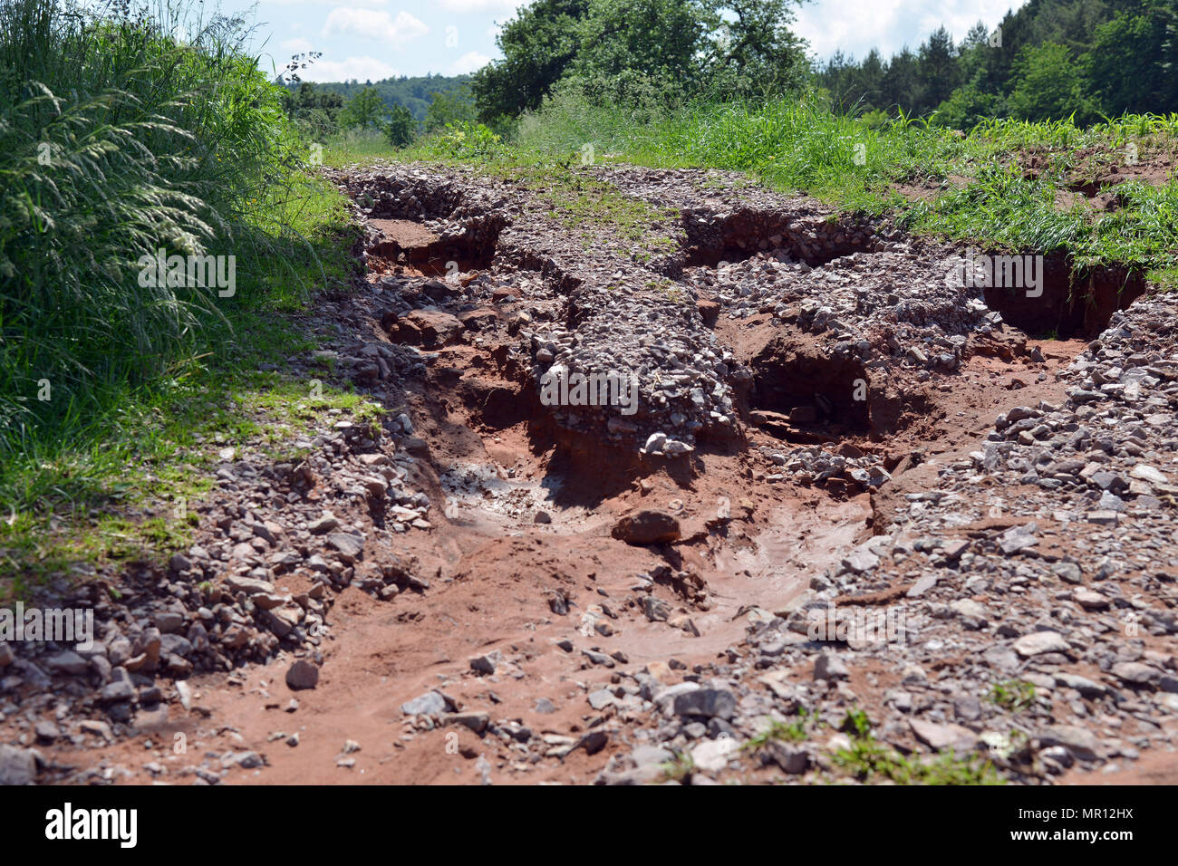25 May 2018, Germany, Trassem: One of the landslide areas in a field of maize. Heavy rain caused a landslide in Trassem in western Germany, which damaged several properties. Photo: Harald Tittel/dpa Stock Photo