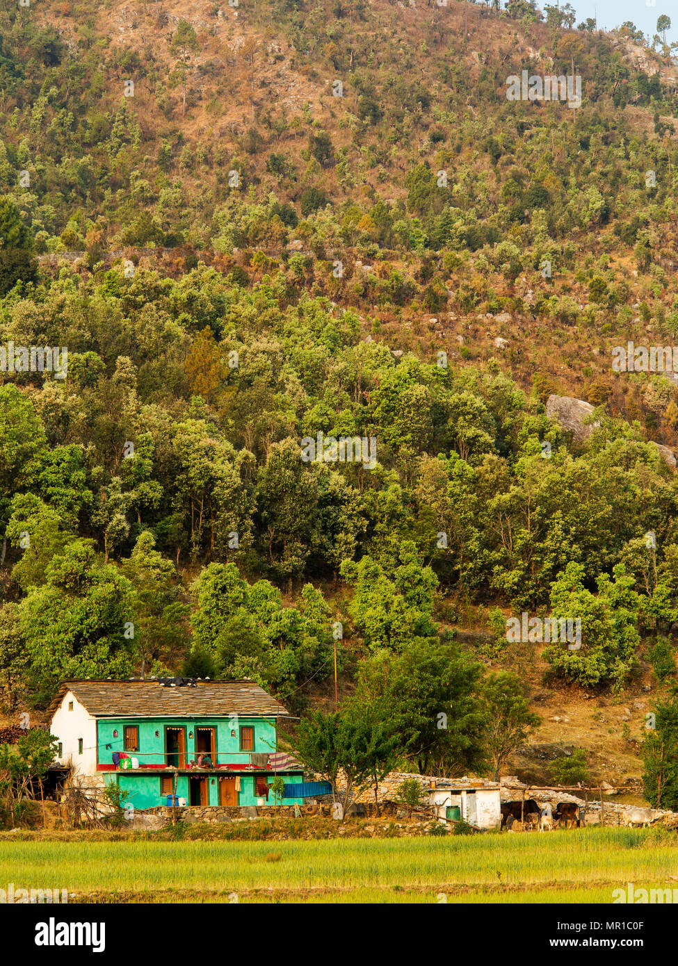 Kala Agar Village on Kumaon Hills. Jim Corbett shot the Chowgarh maneater near this village, Uttarakhand, India Stock Photo