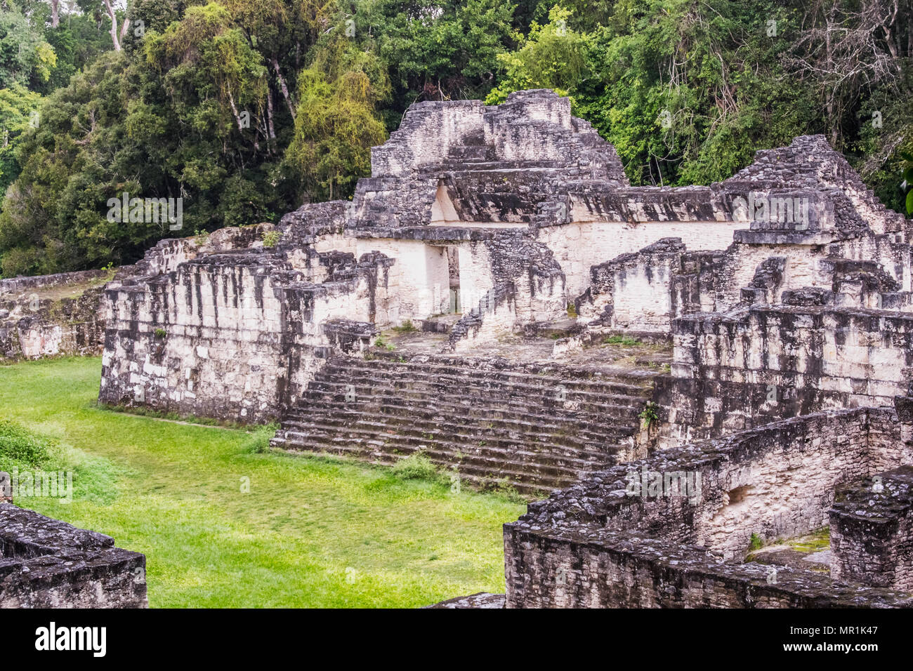 View at the Maya ruins of Tikal, near Flores, Guatemala Stock Photo Alamy