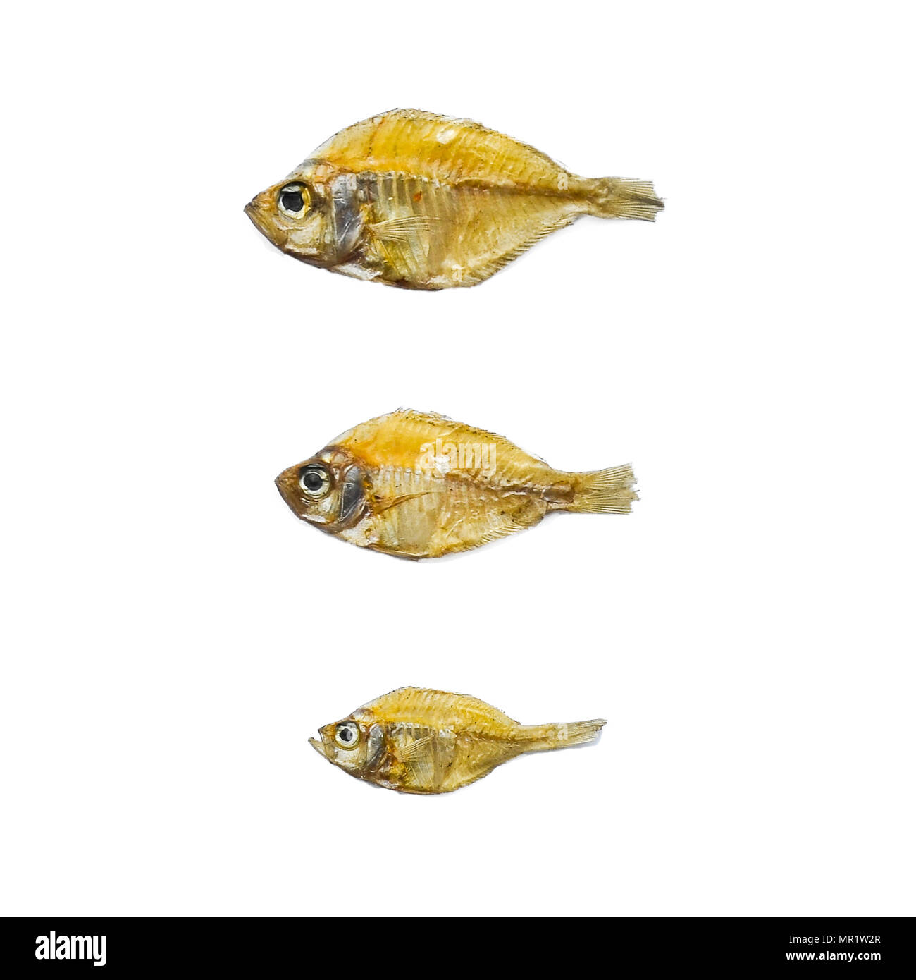 Dry fish from the sun on the white background, pattern of dried fish and small dried fish, top view of dry fish on the white background for isolated Stock Photo