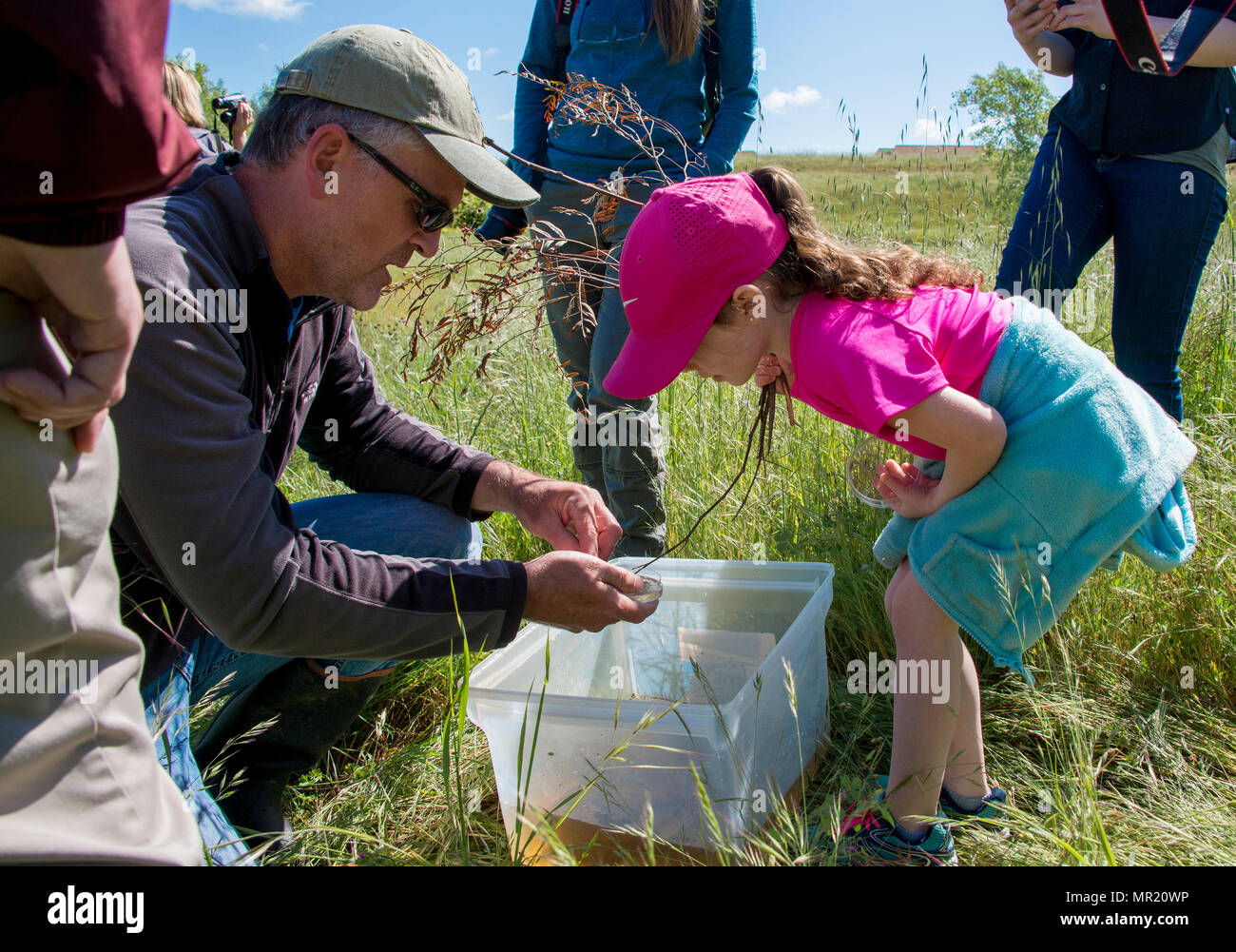 Matthew Wacker (left), associate ecologist consultant from H. T. Harvey and Associates, shows a curious onlooker a close up view of creatures found vernal pool ecosystem during the Earth Day Nature Preserve Tour, Apr. 20, 2017. The event showcased the many natural environmental resources available to visit on the base.(U.S. Air Force photo/ Heide Couch) Stock Photo