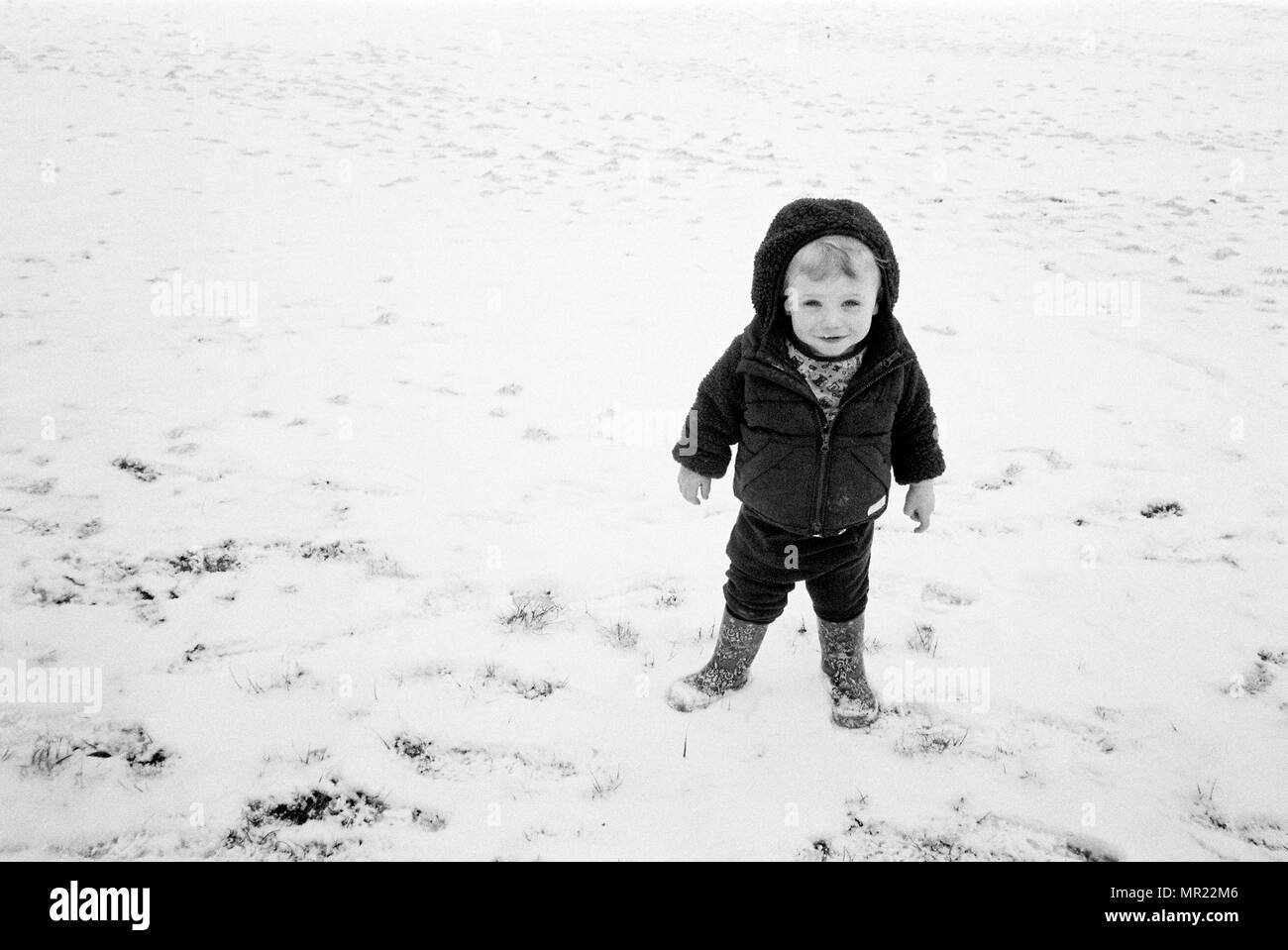 One year old baby boy in the snow, Medstead, Alton , Hampshire, England, United Kingdom. Stock Photo