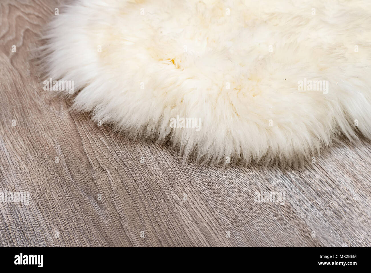 Featured image of post Furry White Carpet Background If you know about another carpet textures around that you think it might be added along to the list