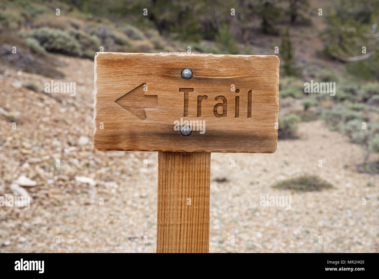 wood trail sign with arrow pointing to the left Stock Photo - Alamy