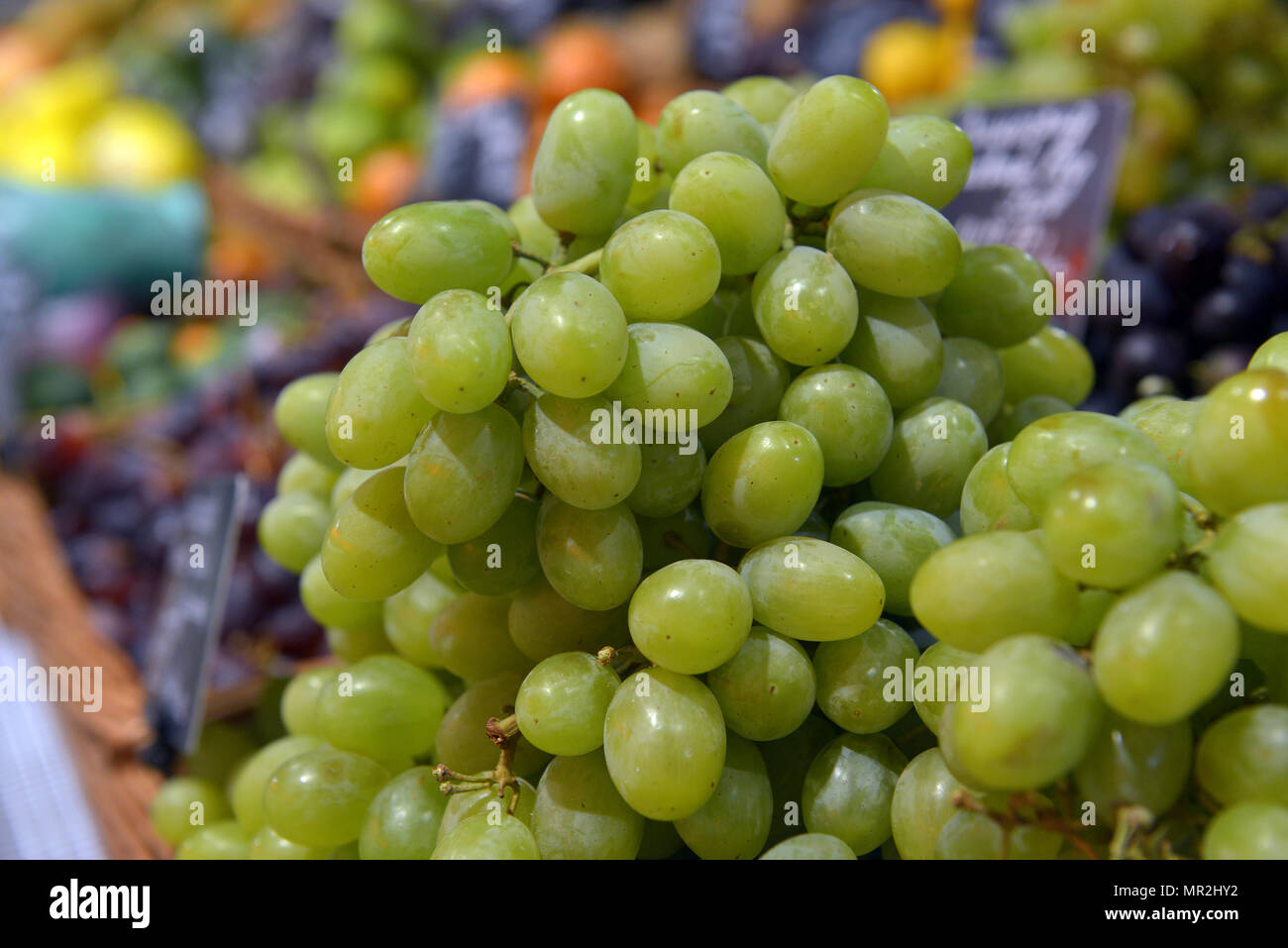 grapes on display in a supermarket Stock Photo Alamy