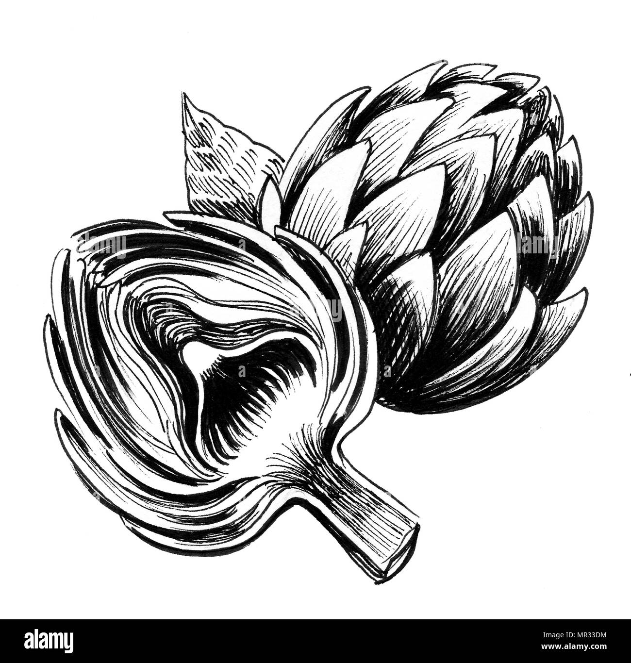 Artichokes. Ink black and white drawing Stock Photo - Alamy