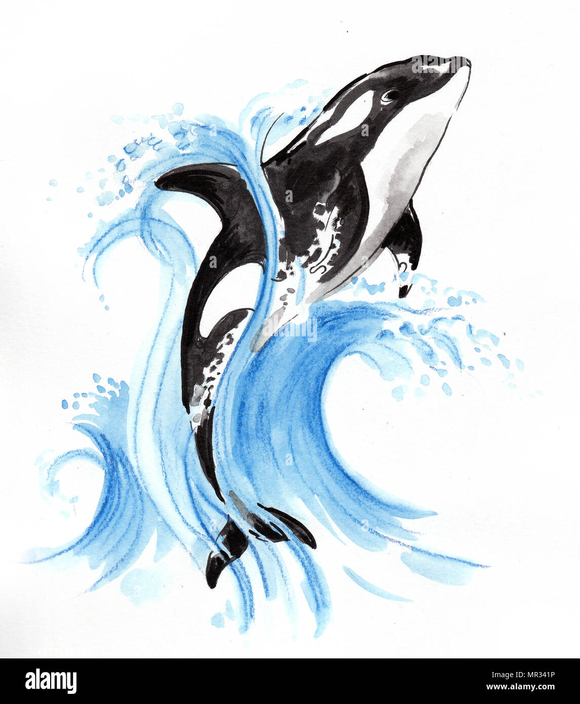 Killer Whale Jumping Drawing
