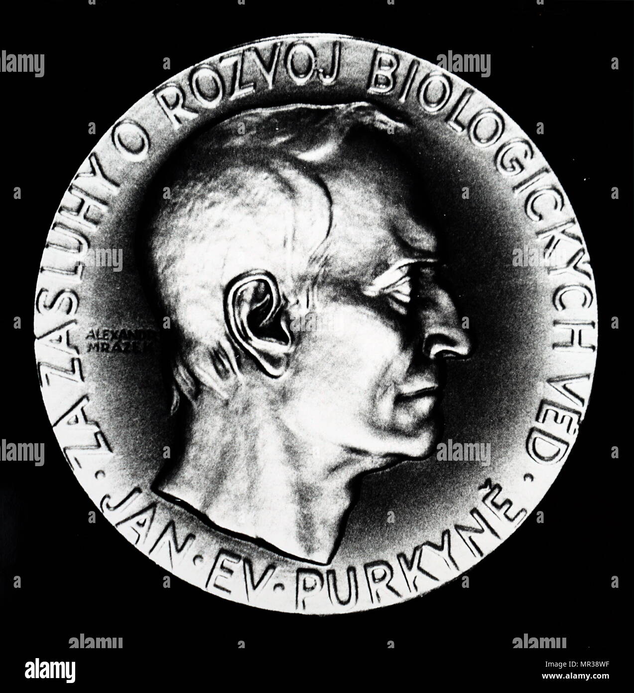 Portrait of Jan Evangelista Purkyně (17871869) a Czech anatomist and