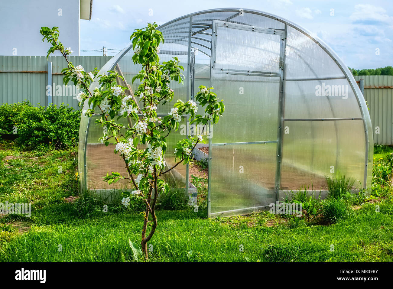 Greenhouse made of plastic for growing green vegetables. City garden Stock  Photo - Alamy