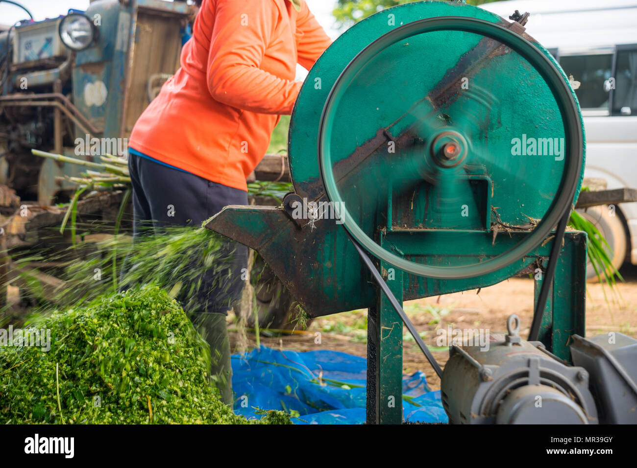 Agricultural Electric Shredder Machine : Garden waste Shredder machine