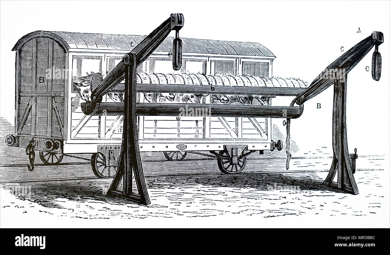 Illustration depicting an closed cattle truck at a feeding and watering halt. This system of trucks was used in the United States for transporting live-stock over long distances. Dated 19th century Stock Photo