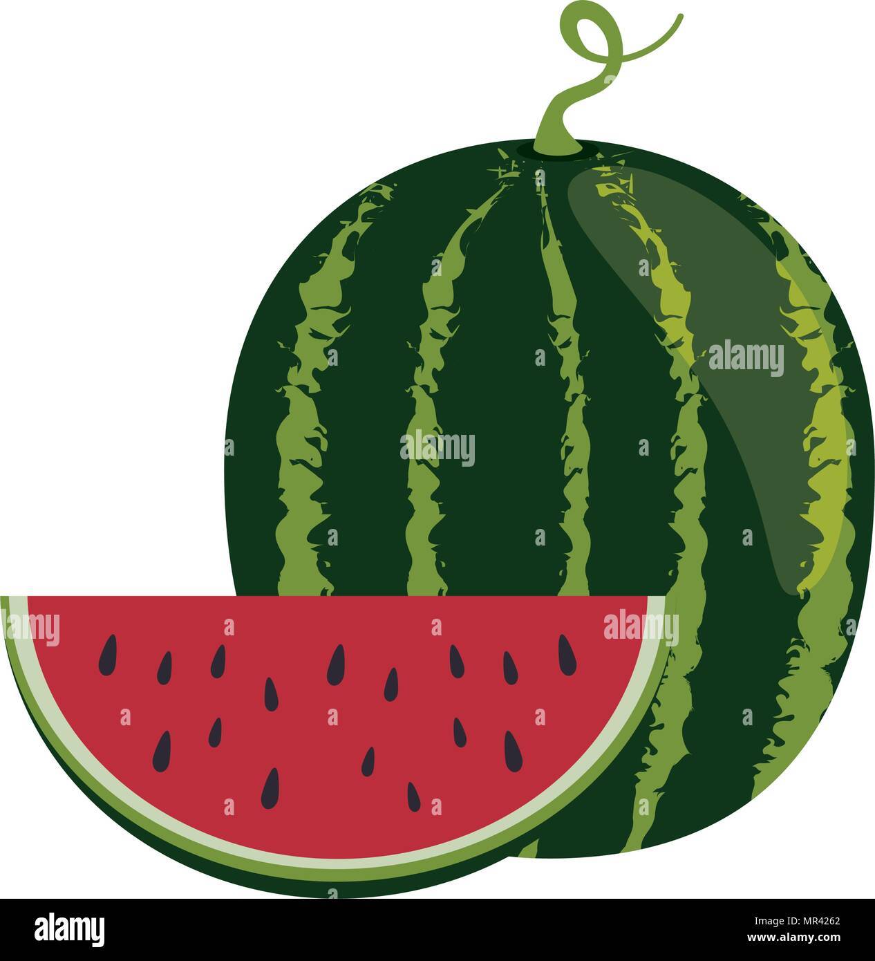 fresh watermelon fruit icon Stock Vector Image & Art - Alamy