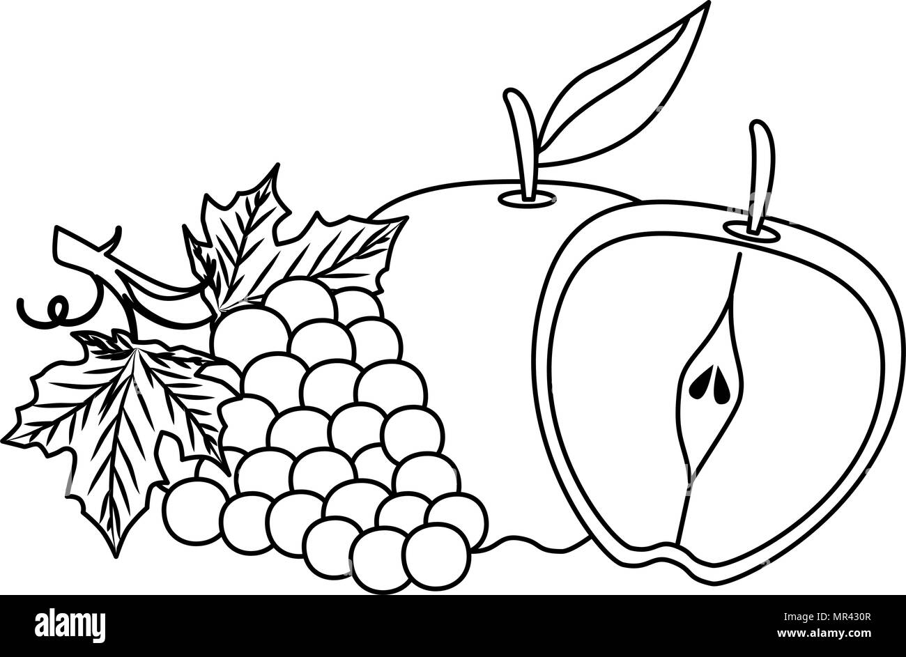 delicious set fruits healthy food Stock Vector Image & Art - Alamy