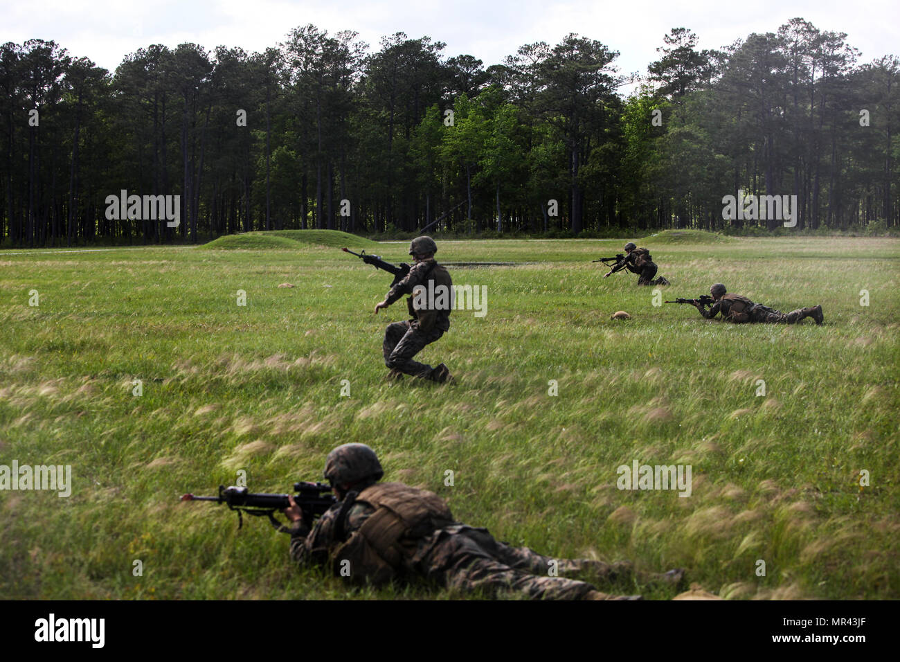 Rushing Marine Training18578748