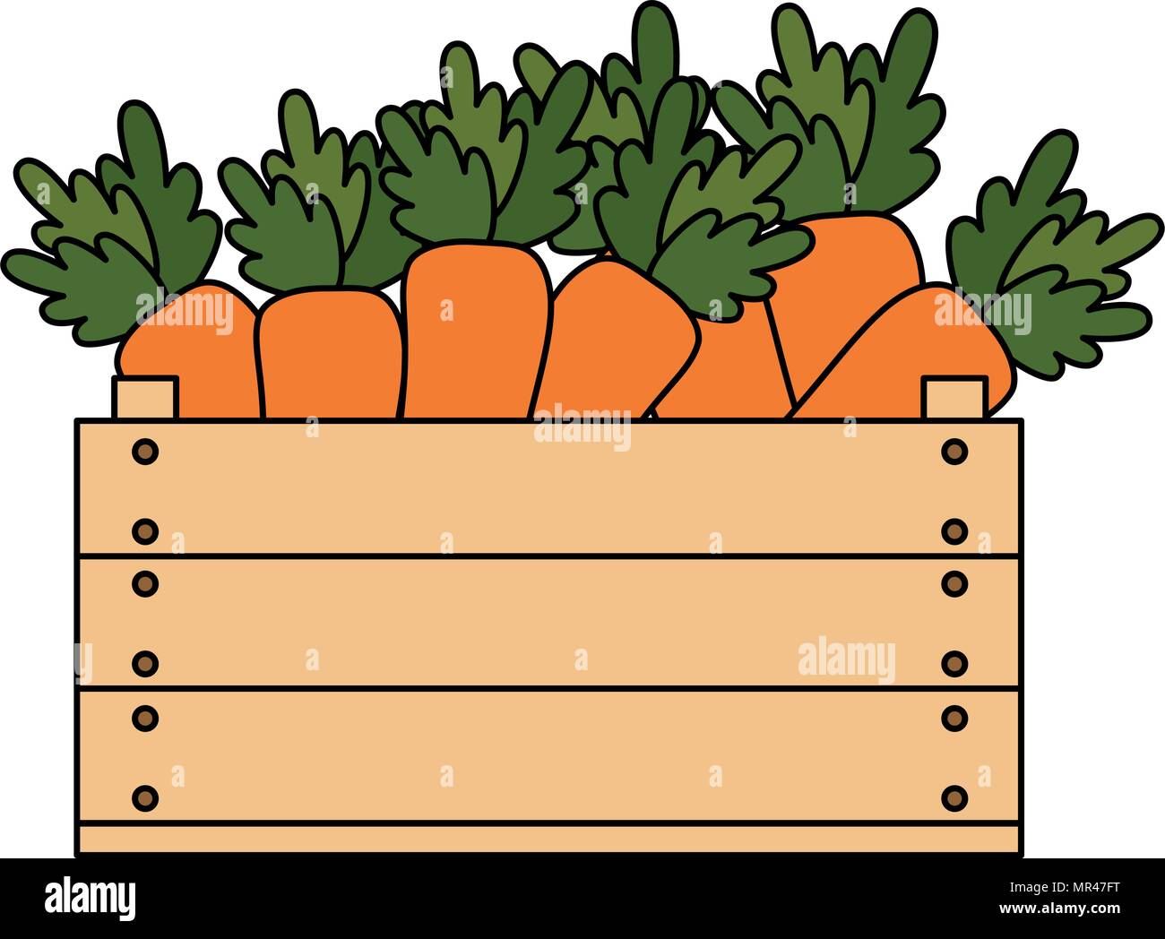 fresh carrots in wooden box vegetarian food Stock Vector Image & Art - Alamy