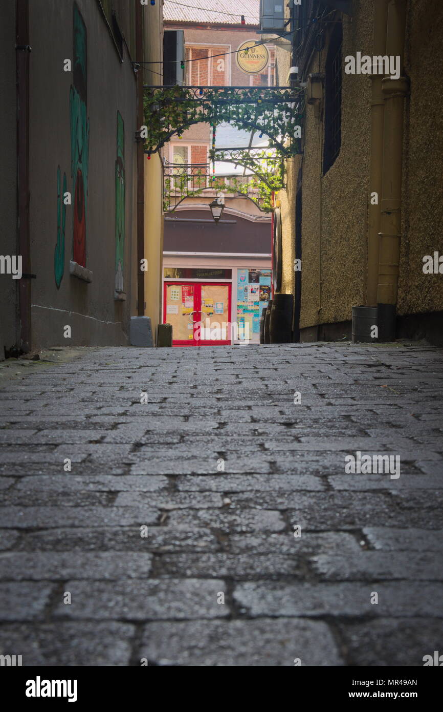 An ally in Ennis town Stock Photo