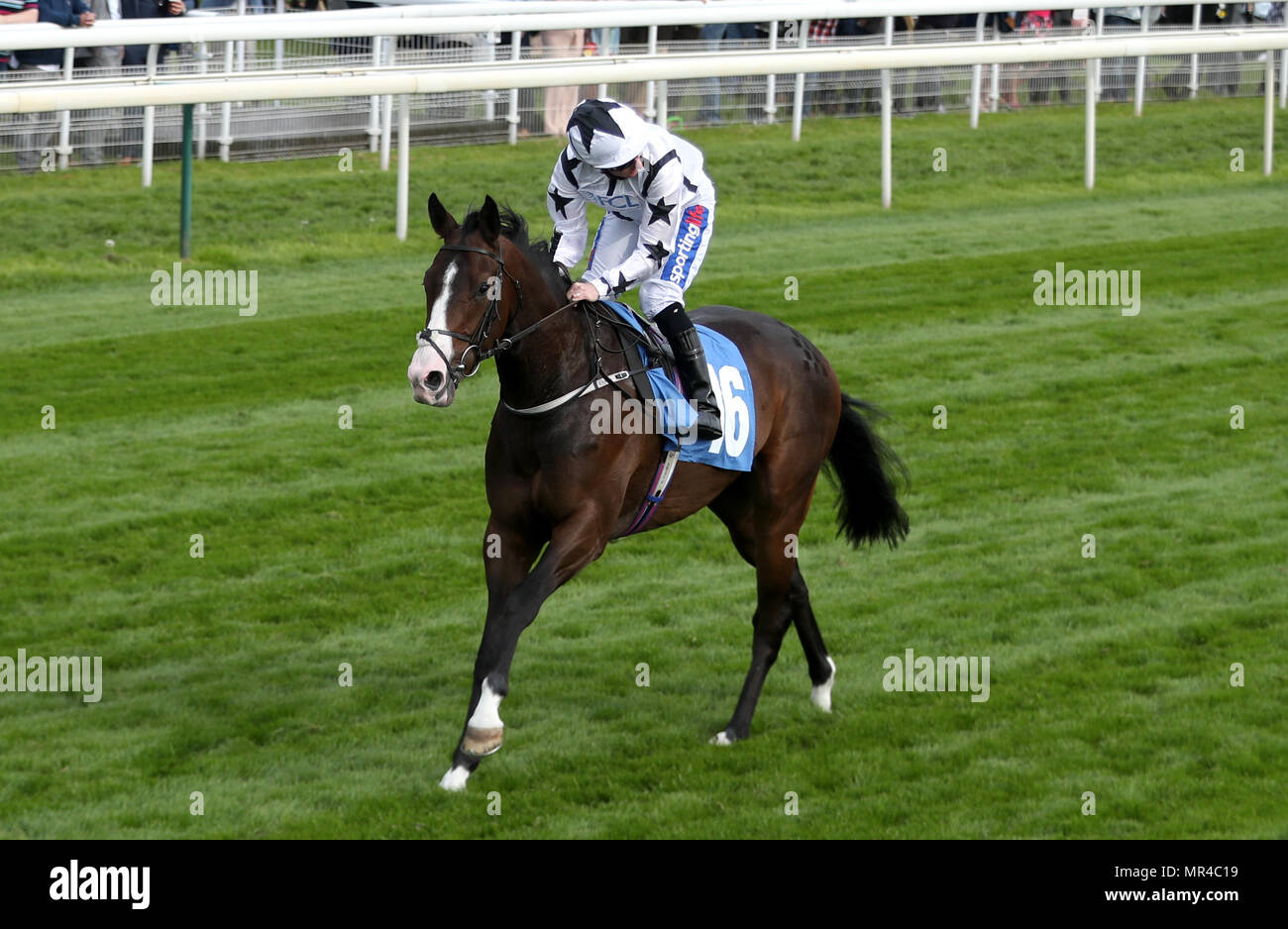 Tommy shelby horse hi-res stock photography and images - Alamy