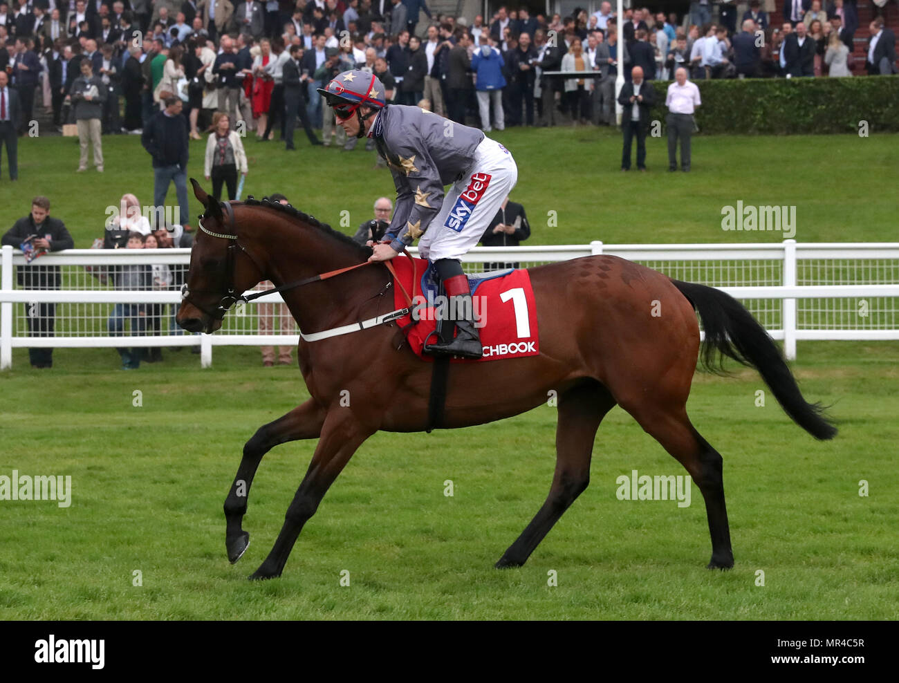 Magic Circle ridden by Fran Berry goes to post during the Matchbook Brigadier Gerard Evening ay Sandown Park Racecourse. Stock Photo