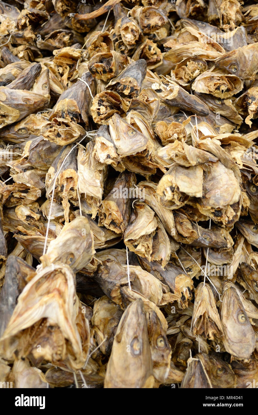 Buy Stockfish From Norway