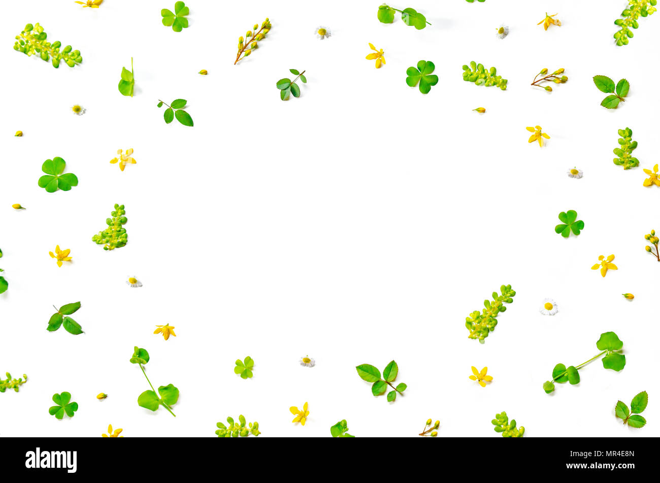 Frame from green leaves and flower on white background for isolated ...