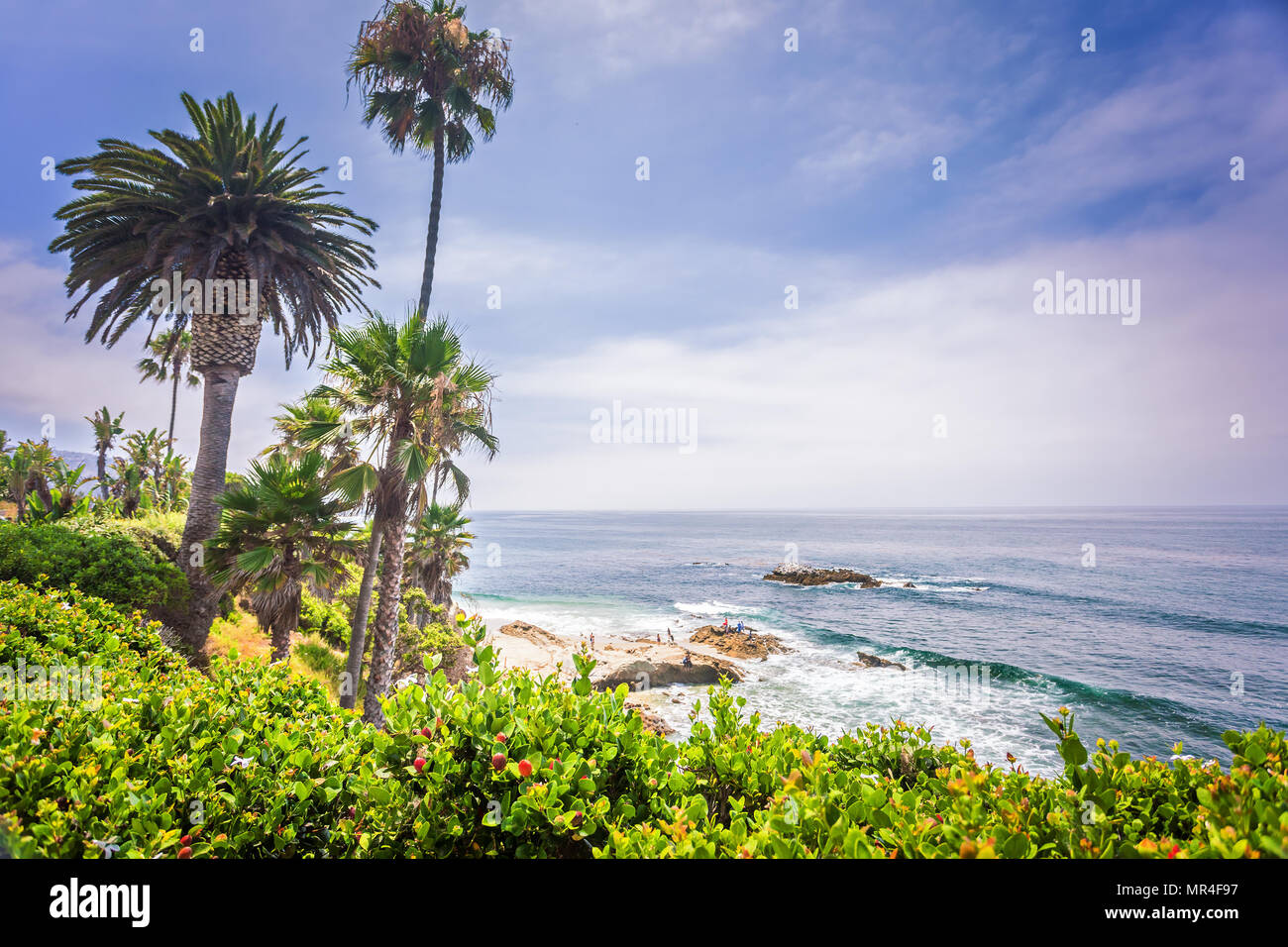 Laguna Beach landscape with palms and Pacific ocean Stock Photo Alamy