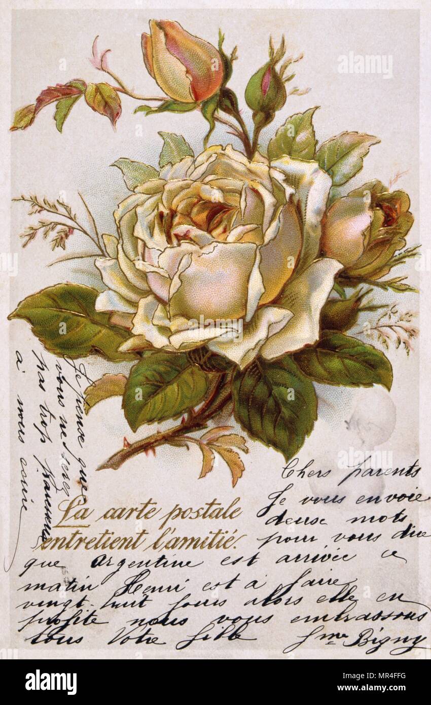 French postcard with images of flowers 1900 Stock Photo