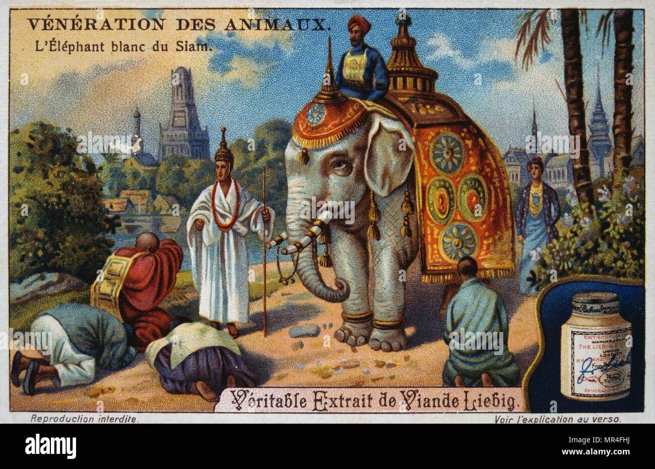 Leibig card showing a Siamese White Elephant at a ceremony in Siam (Thailand), 1900.  sacred white elephants kept by Southeast Asian monarchs in Burma, Thailand, Laos and Cambodia. To possess a white elephant was regarded (and is still regarded in Thailand and Burma) as a sign that the monarch reigned with justice and power, and that the kingdom was blessed with peace and prosperity. Stock Photo