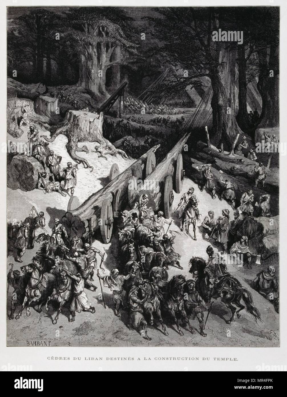 Cedars of Lebanon taken to construct the Temple in Jerusalem, Illustration from the Dore Bible 1866. In 1866, the French artist and illustrator Gustave Doré (1832–1883), published a series of 241 wood engravings for a new deluxe edition of the 1843 French translation of the Vulgate Bible, popularly known as the Bible de Tours. This new edition was known as La Grande Bible de Tours and its illustrations were immensely successful. Stock Photo