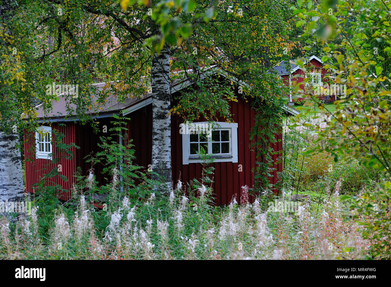 Swedish cottage in autumn, cabin, hamra Stock Photo