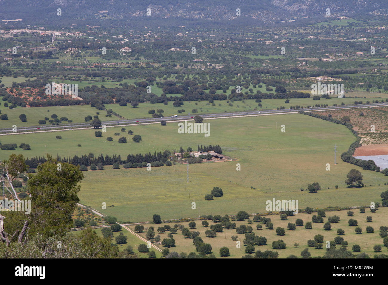 The road from Palma de Mallorca to Alcudia true countryside of ,Mallorca Spain Stock Photo