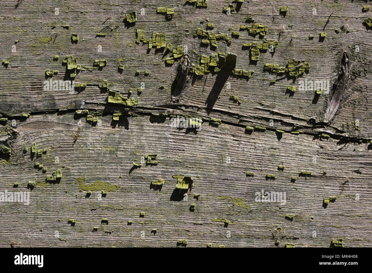 Vintage wood background with peeling grunge paint Stock Photo - Alamy