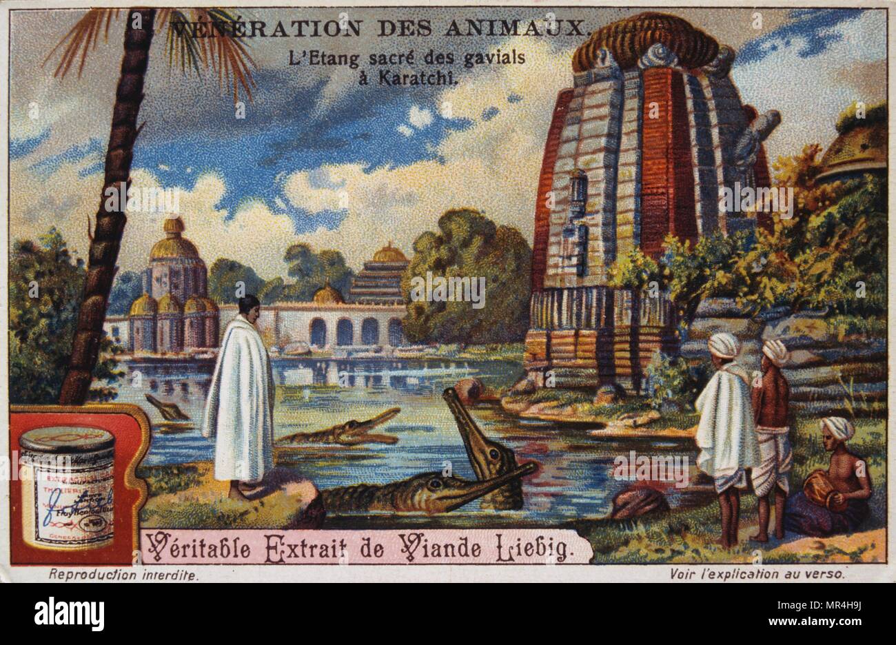 Leibig card showing the worship of the Gharial, in an India near a Hindu temple. Circa 1900. The gharial (Gavialis gangeticus), also known as the gavial, and the fish-eating crocodile, is a crocodilian of the family Gavialidae, native to the northern part of the Indian Subcontinent Stock Photo