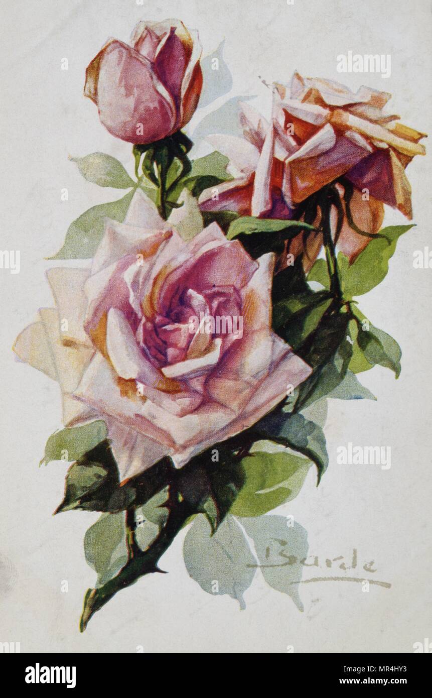 Vintage French postcard illustrated with pink roses. 1900 Stock Photo