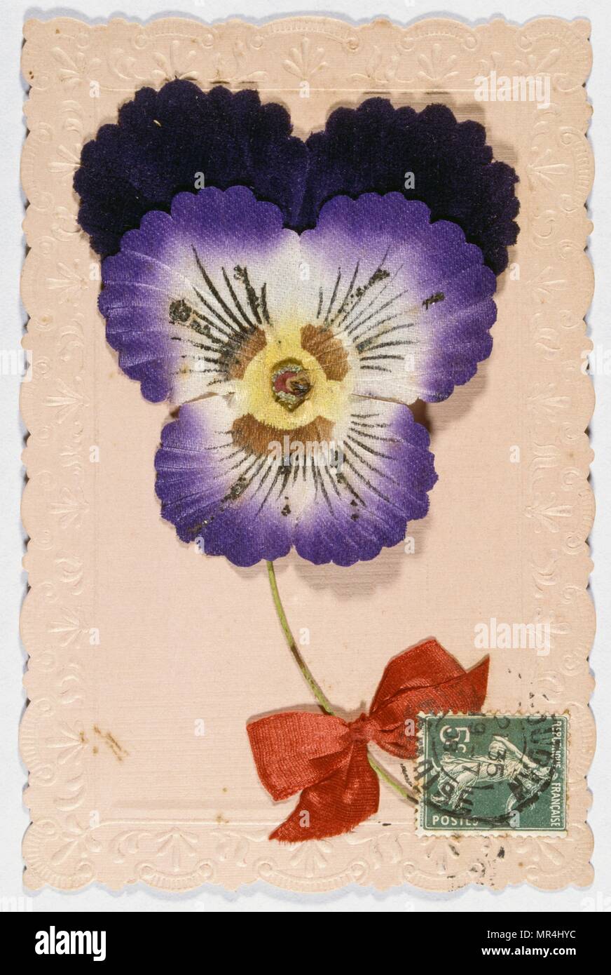 Vintage French postcard illustrated with a purple flower 1903 Stock Photo