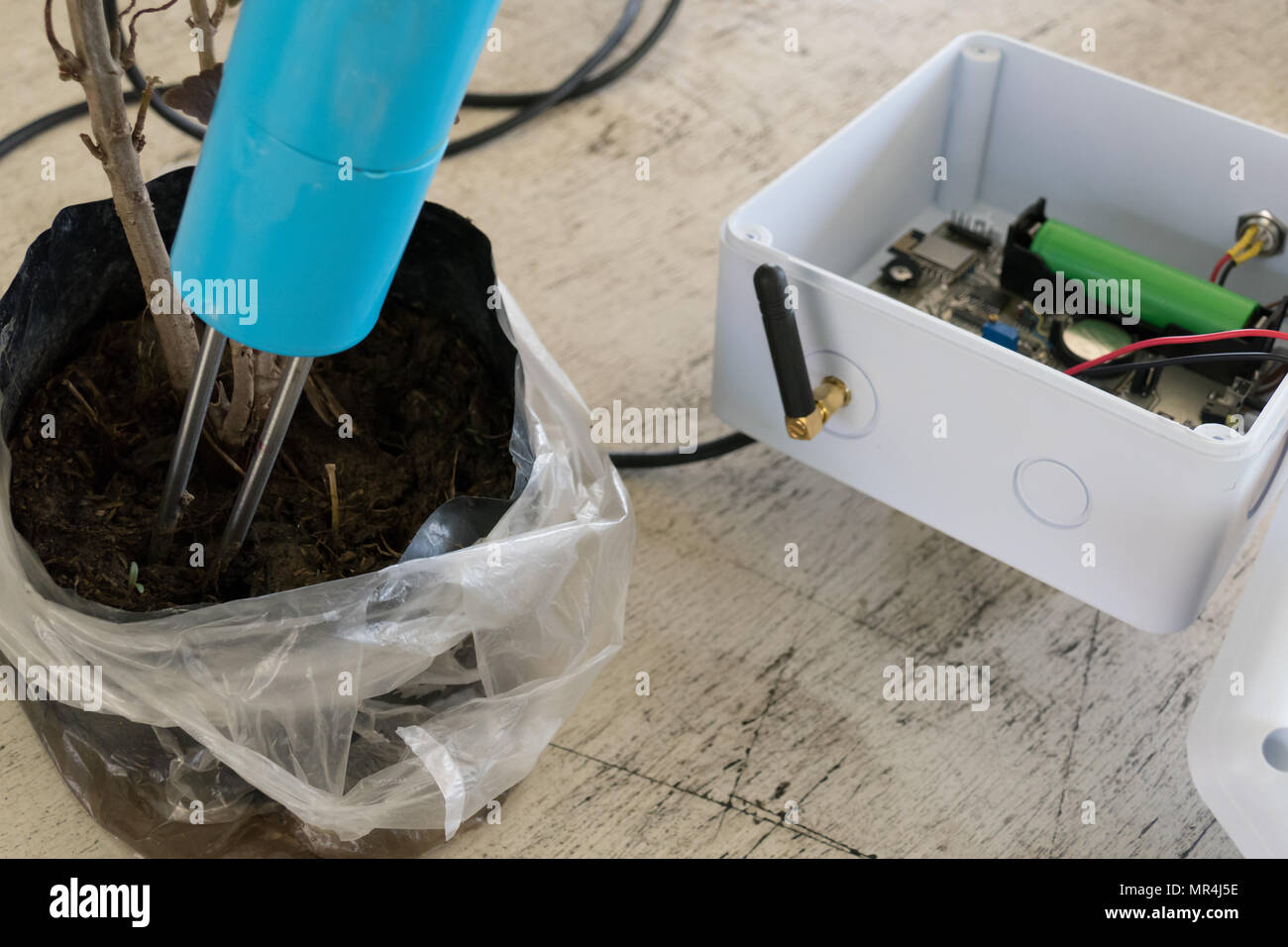 sensor for monitoring & measuring humidity in soil. smart agriculture ...