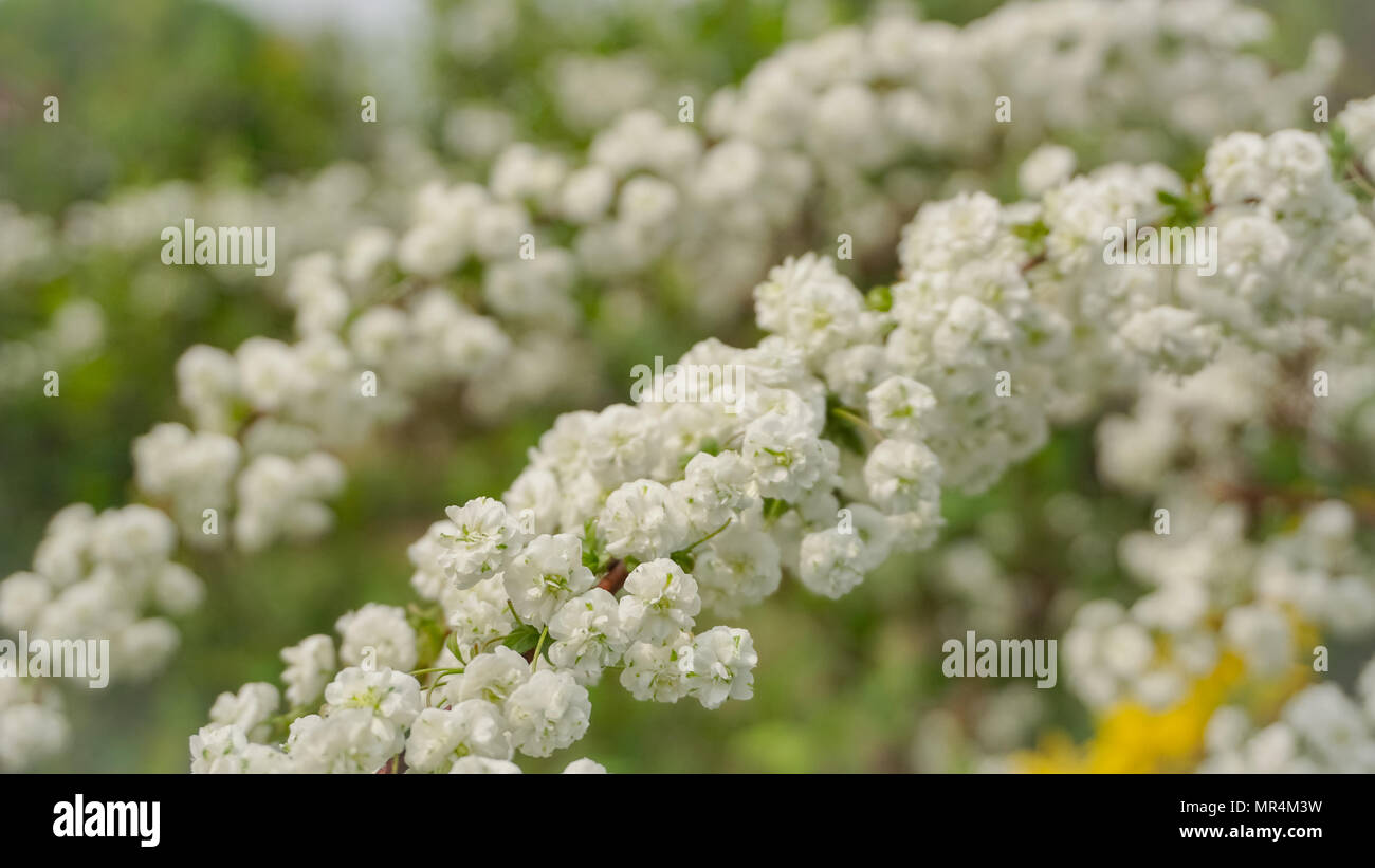 Sony a6000 images hires stock photography and images Alamy