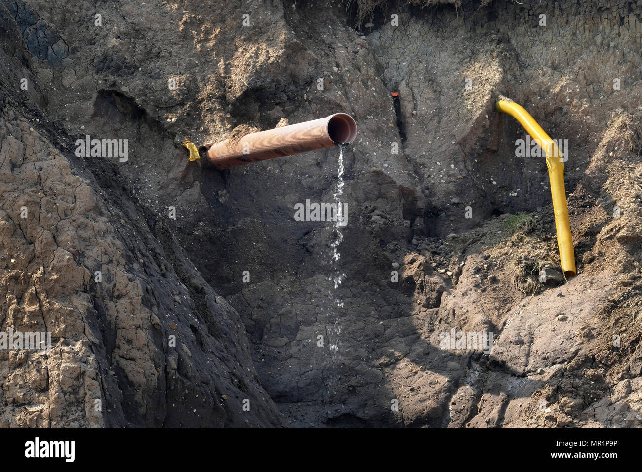 Effluent and drain pipes uncovered by eroding clay cliffs. East coast UK. Stock Photo