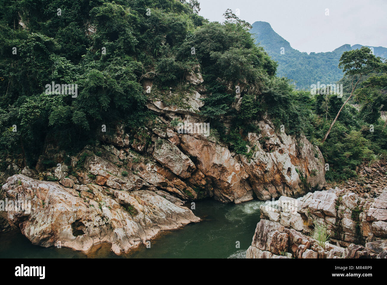 green vegetation on rocks and rapid river in Phong Nha Ke Bang National Park, Vietnam Stock Photo