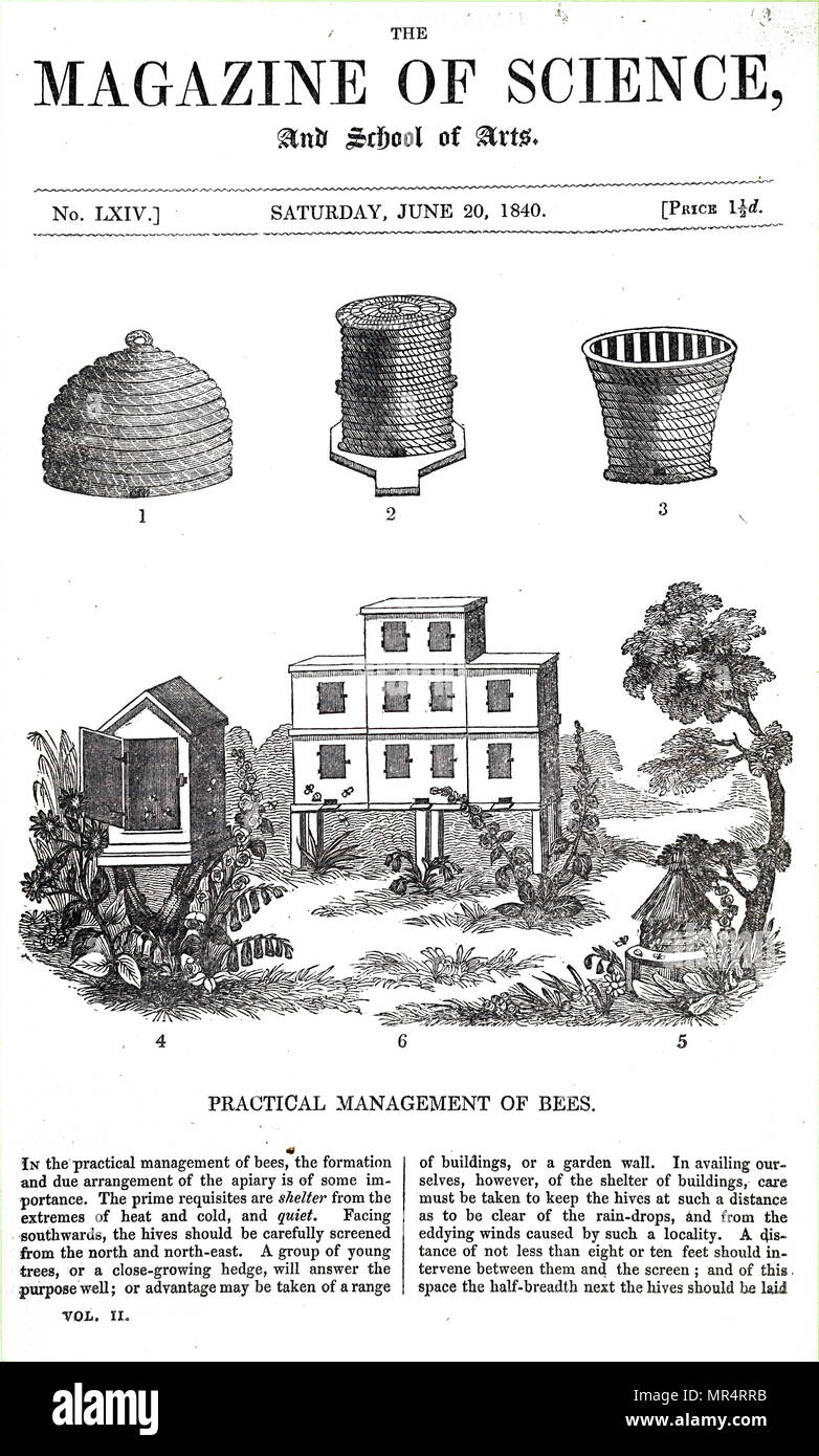 Illustration depicting various beehives. 1: Bell-shaped traditional straw skep. 2: Wildman's storied straw beehives (top contains 6-7 wooden spars on which bees build comb). 3: Grecian or Candiote hive of straw with wooden spars. 4: Wooden Beehive. 5: Traditional straw skep with straw cover. 6: Wooden Beehive. Dated 19th century Stock Photo