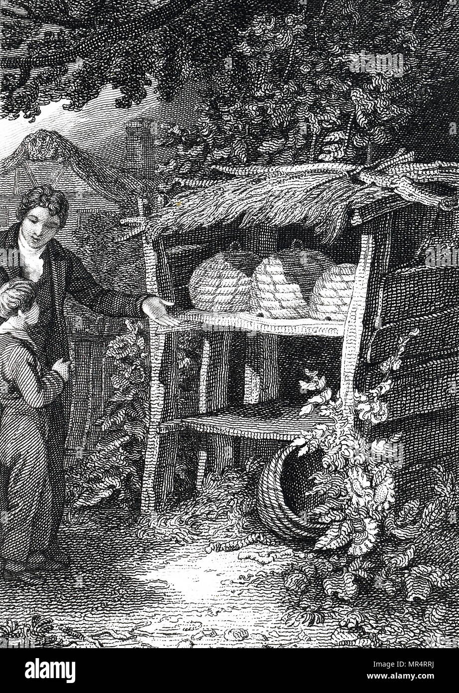 Engraving depicting a beekeeper standing near straw Beehives which are kept under a thatched wooden shelter. Engraved by John Romney (1785-1863) an English artist. Dated 19th century Stock Photo