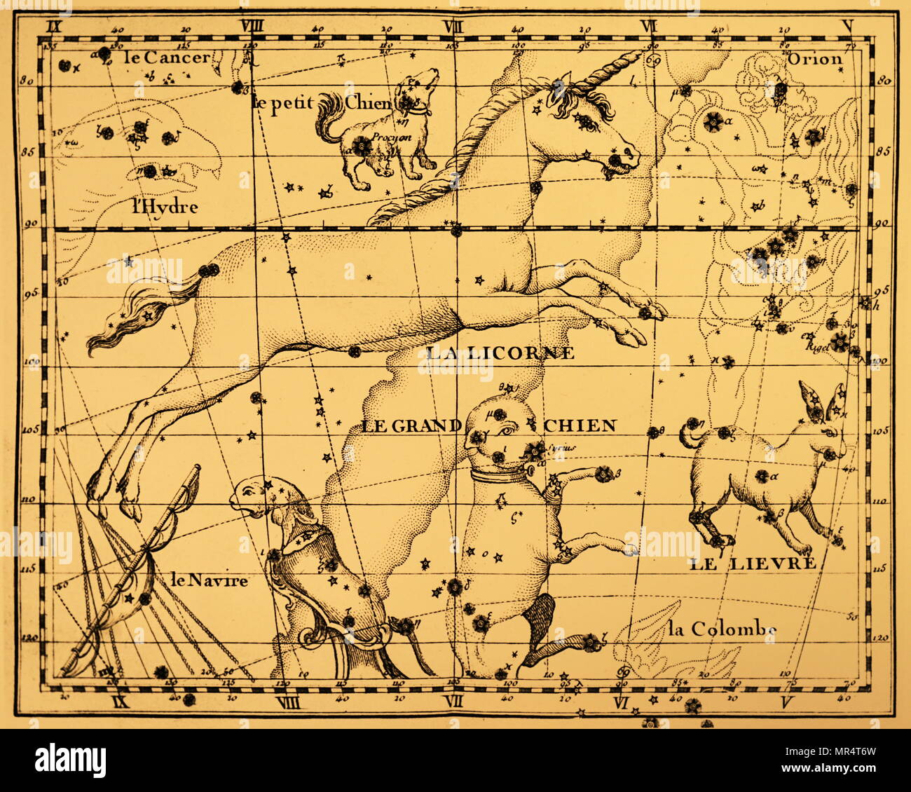 Engraving depicting the constellations of Monoceros and Canis Major. Dated 18th century Stock Photo