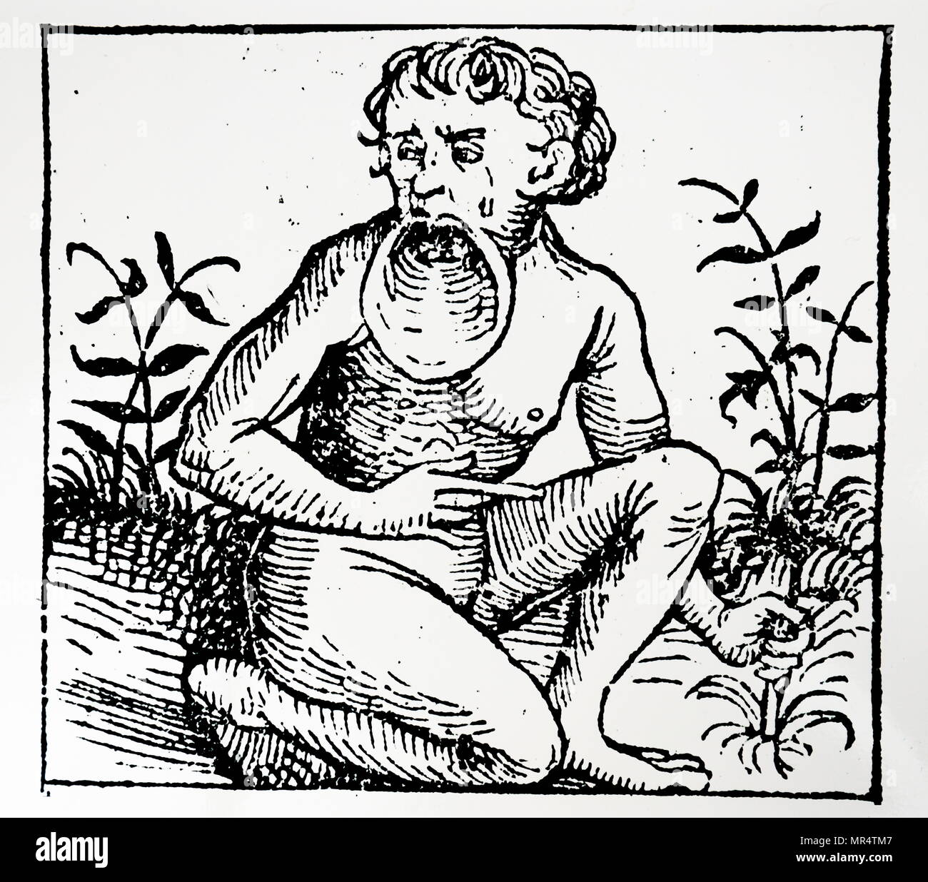 Woodblock engraving depicting a member of the big-lipped tribe which was once believed to inhabit certain areas of the earth. Dated 15th century Stock Photo